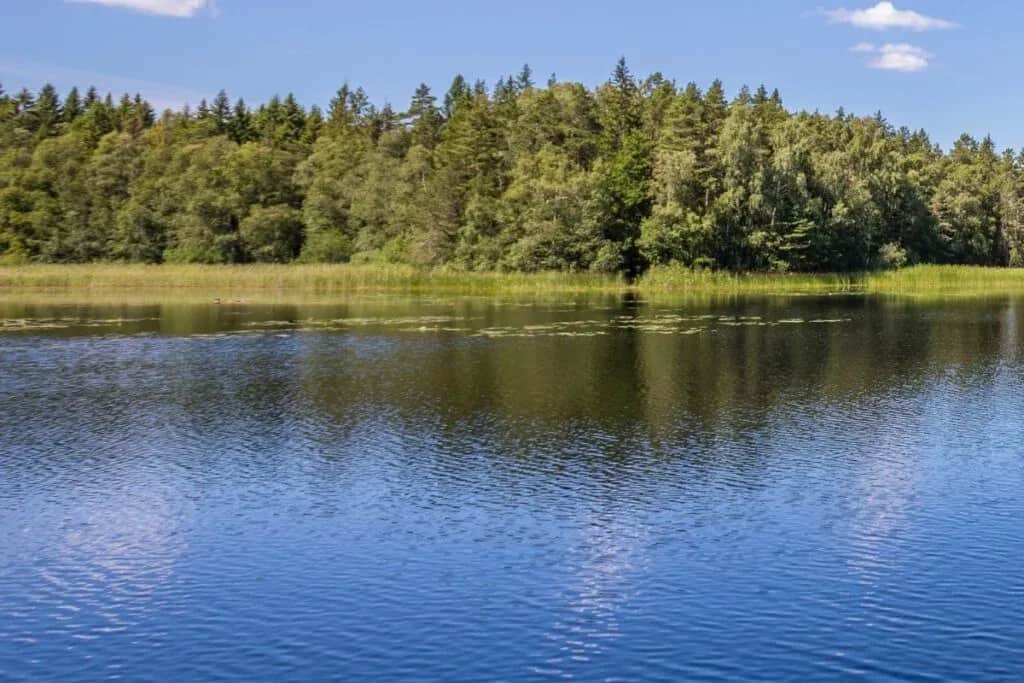 Największe jeziora nadbałtyckie: odkryj piękno Jeziora Łebskiego