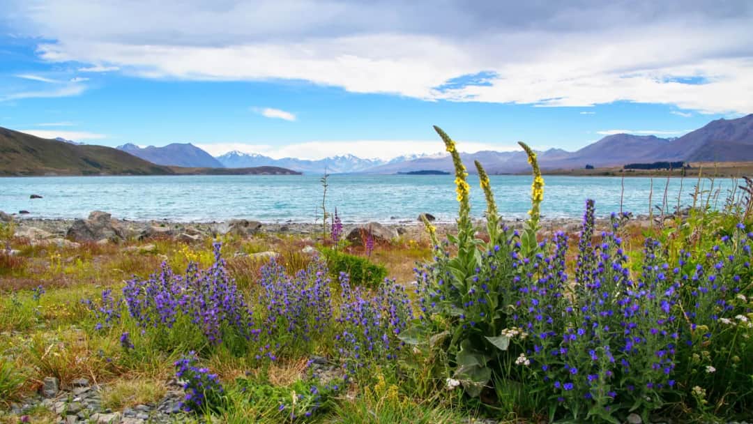 Najczystsze jezioro na świecie: niezwykła przejrzystość i zagrożenia