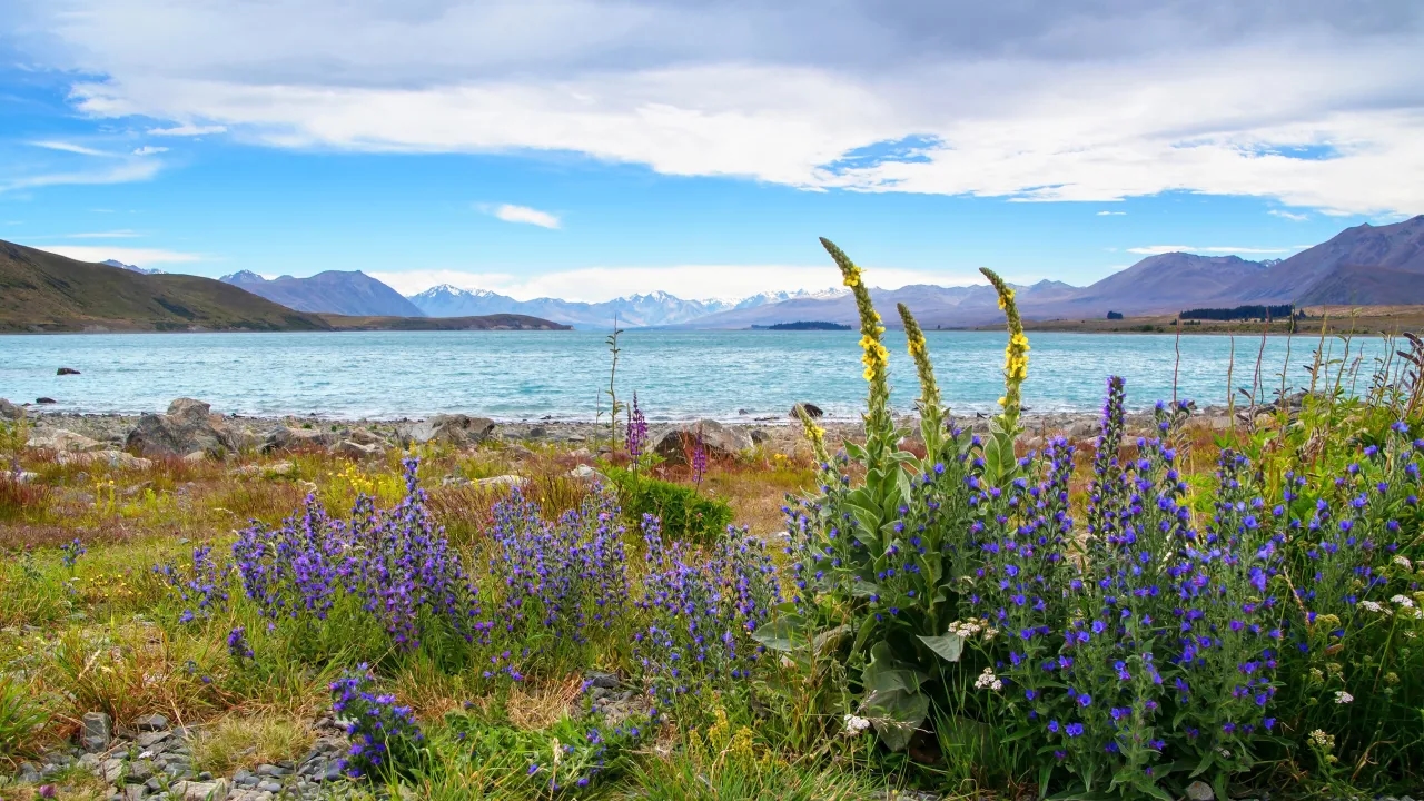 Najczystsze jezioro na świecie: niezwykła przejrzystość i zagrożenia