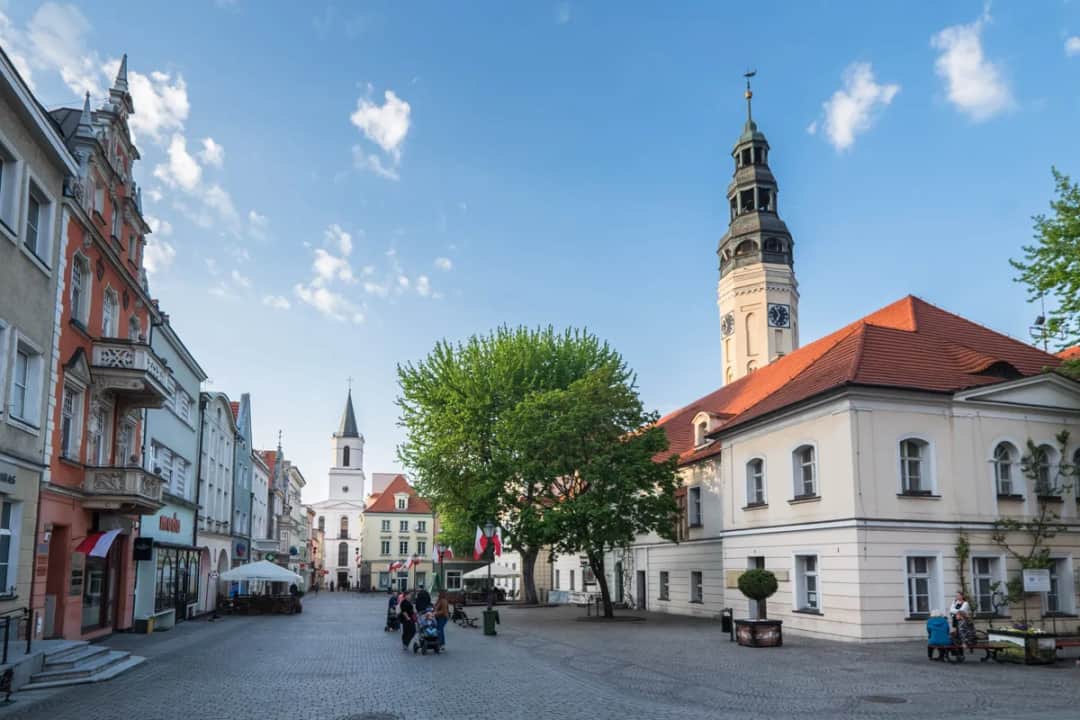Zielona Góra – w jakim województwie leży i co warto wiedzieć o regionie