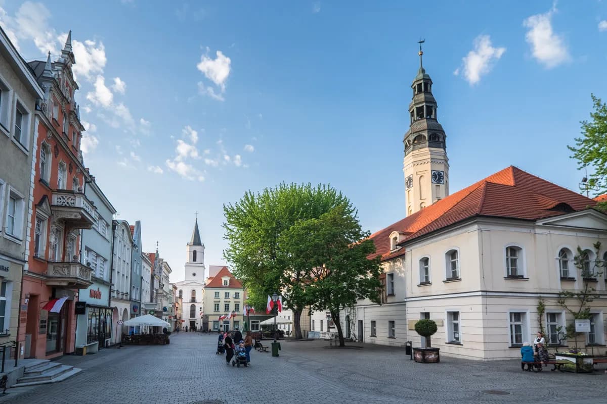 Zielona Góra – w jakim województwie leży i co warto wiedzieć o regionie