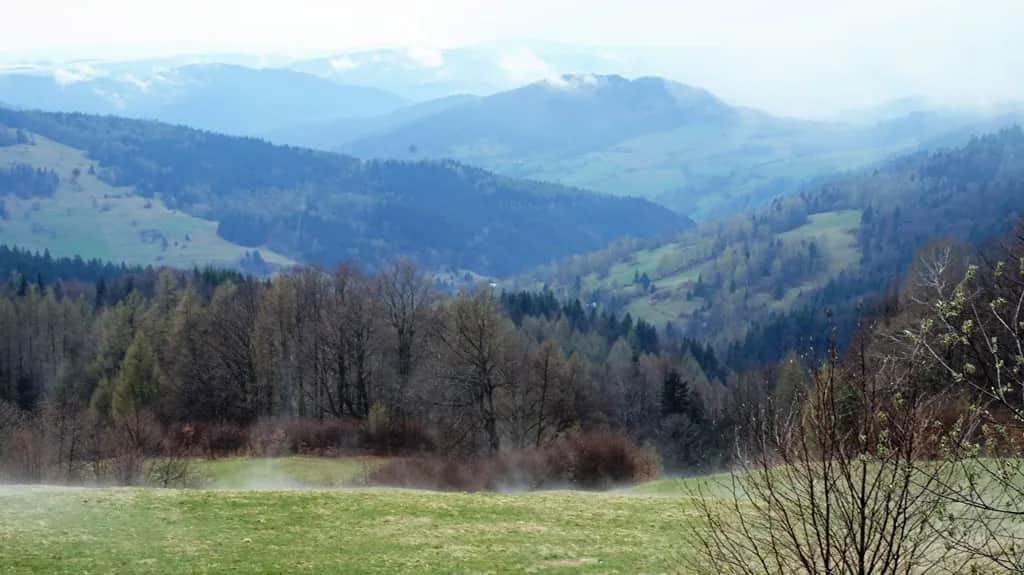 Muszyna - odkryj piękne góry i szlaki turystyczne w okolicy