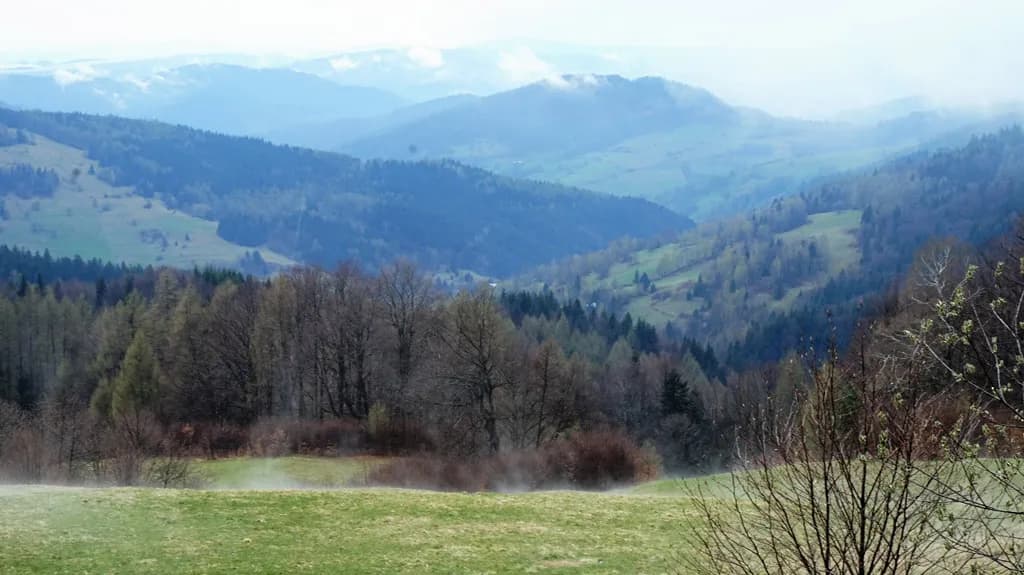 Muszyna - odkryj piękne góry i szlaki turystyczne w okolicy