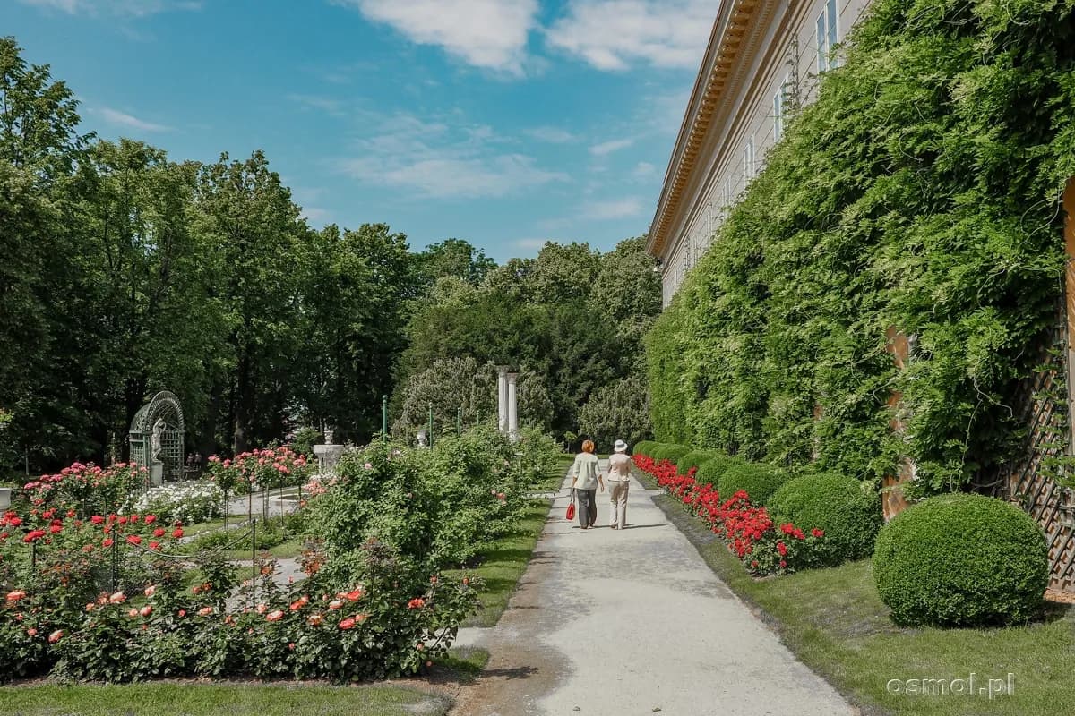 Zamek w Łańcucie ogród – historia, sekrety i najpiękniejsze zakątki do zwiedzania