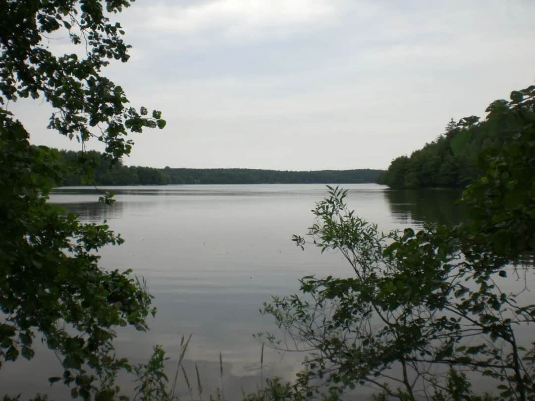 Jezioro Sianowskie – atrakcje, wędkowanie i tajemnice przyrody w jednym miejscu