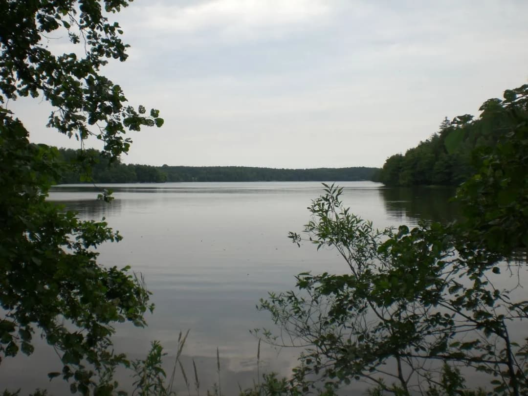 Jezioro Sianowskie – atrakcje, wędkowanie i tajemnice przyrody w jednym miejscu