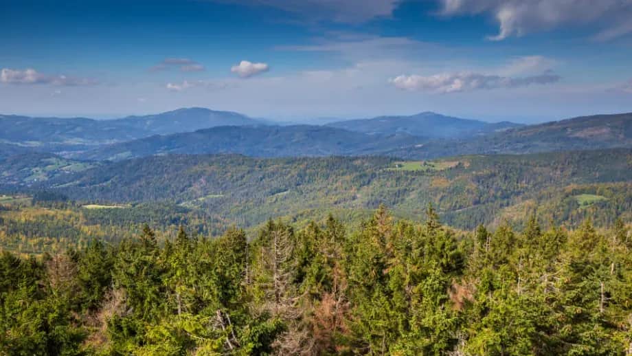 Jak dotrzeć na Baranią Górę - najłatwiejsze trasy i wskazówki