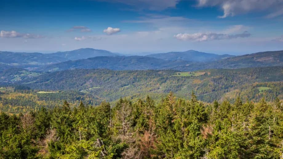 Jak dotrzeć na Baranią Górę - najłatwiejsze trasy i wskazówki