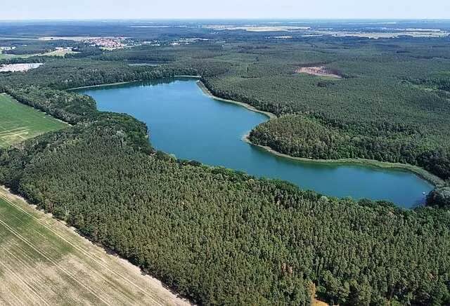 Jezioro Cisie: atrakcje, lokalizacja i sekrety przyrody, które warto poznać